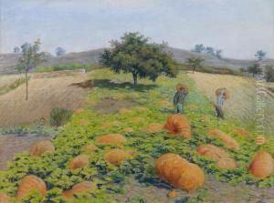 La Recolte Des Citrouilles