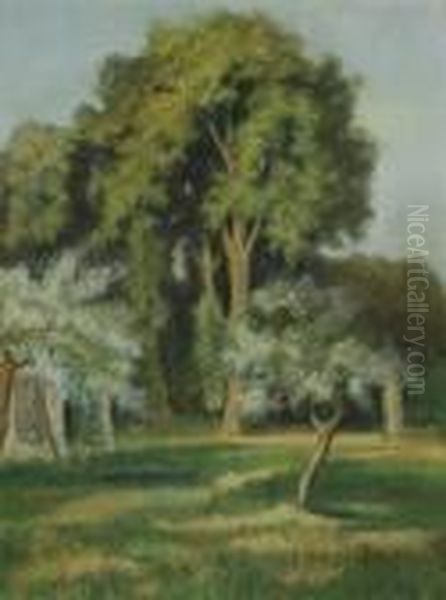 Des Arbres Dans Un Jardin; Et Les Chenes A Saintvalery-sur-somme - view 1