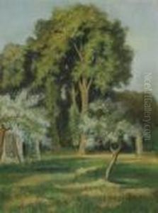 Des Arbres Dans Un Jardin; Et Les Chenes A Saintvalery-sur-somme