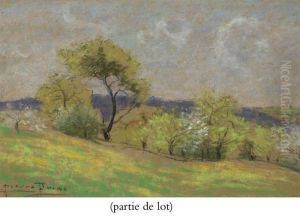 Arbres En Fleur Dans Une Prairie