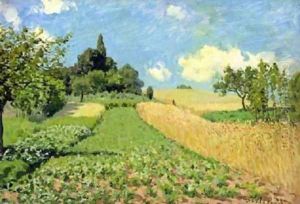 The Cornfield The Cornfield