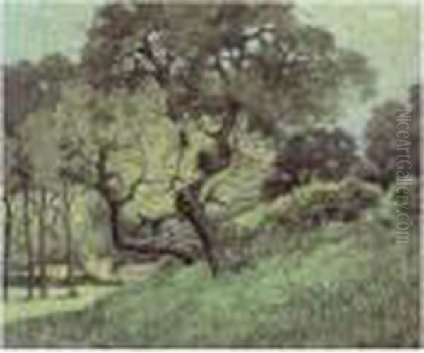 Paysage - view 1