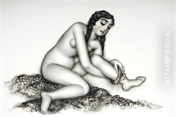 Divka Oblekajici Sipuncochu - view 1