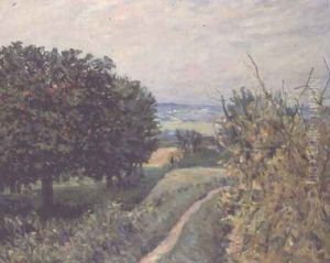 In the Vineyards at Louveciennes, 1874 by Alfred Sisley
