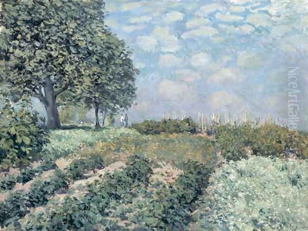 The Market Gardens, 1874 - view 1