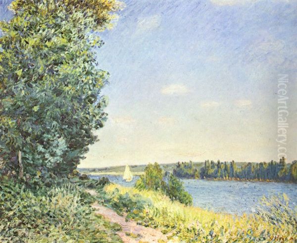 Normandie, Pfad am Wasser, abends bei Sahurs - view 1