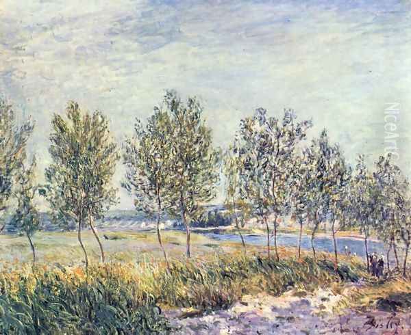 Meadow in By - view 1