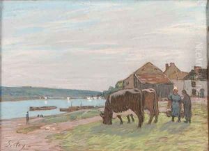 Vaches au paturage