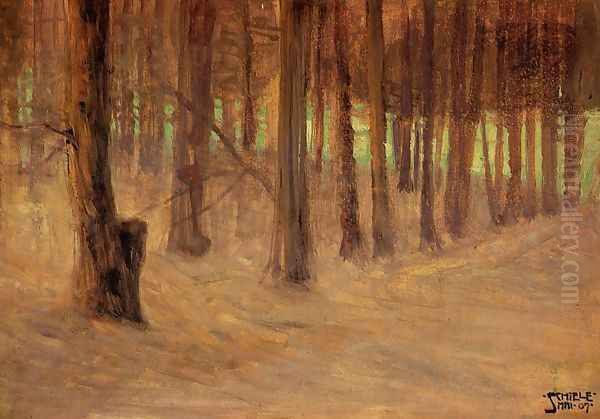 Forest With Sunlit Clearing In The Background - view 1