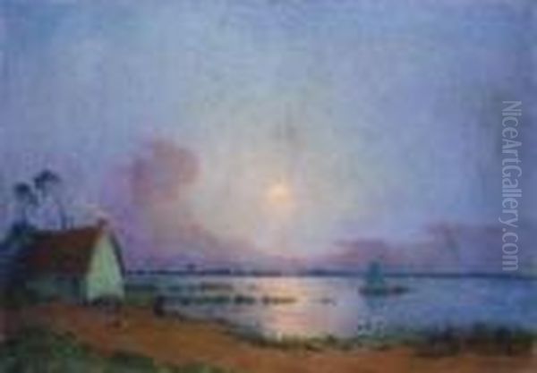 Nuit Bleutee Sur Le Marais De La Grande Briere - view 1