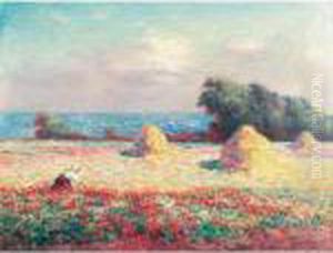 Champ De Coquelicots