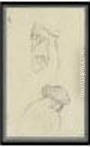 Etude De Femme Et De Draperie - view 1