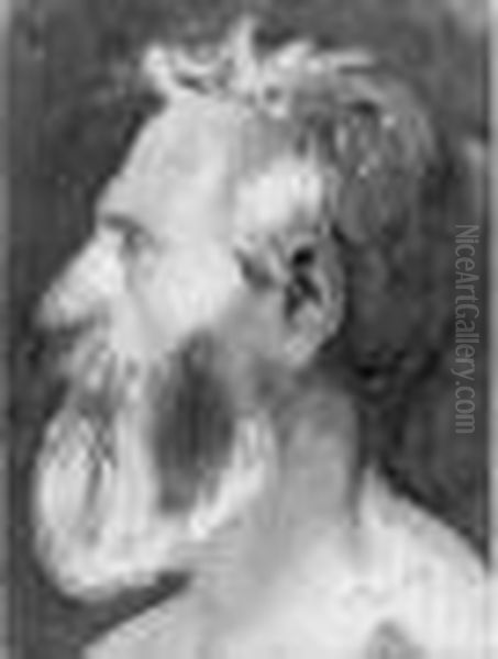 Tete De Vieil Homme Barbu Vu De Profil - view 1