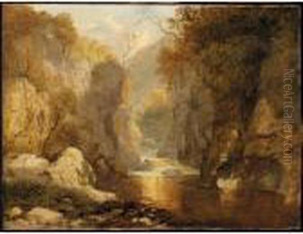 The Fairy Glen, Betswy Coed - view 1