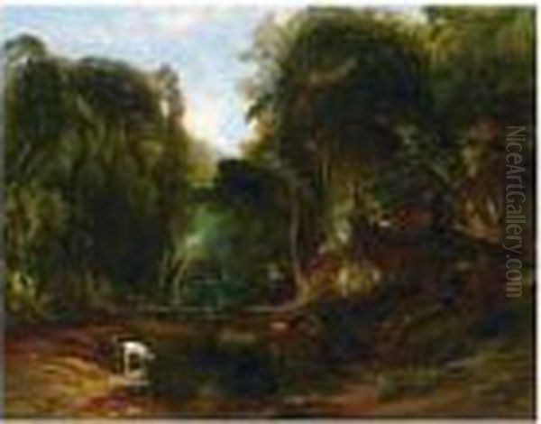 Deer Watering In A Forest Glade - view 1