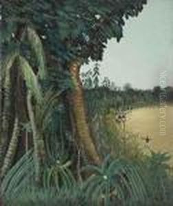 La Recolte Des Bananes