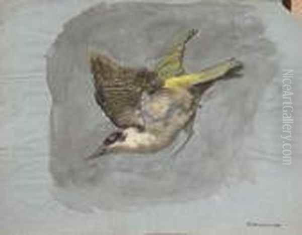 Etude D'oiseau - view 1