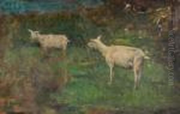Les Chevres - view 1