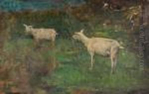 Les Chevres Les Chevres