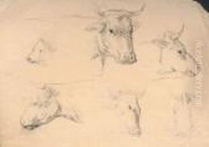 Ensemble De Crayon Et Fusains Sur Papier