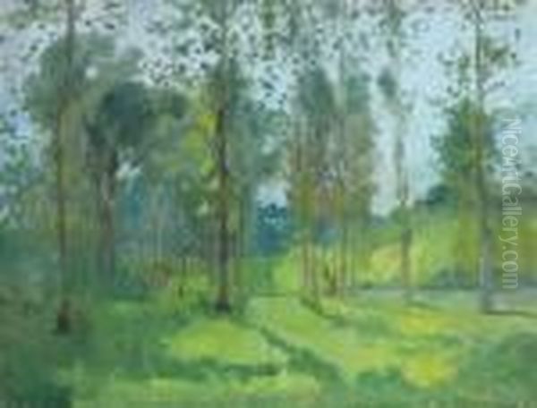 Paysage - view 1