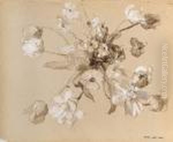 Etudes De Fleurs - view 1