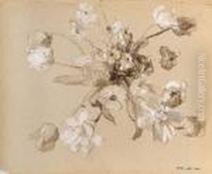 Etudes De Fleurs by Ernest Quost