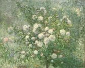 A White Rose Bush