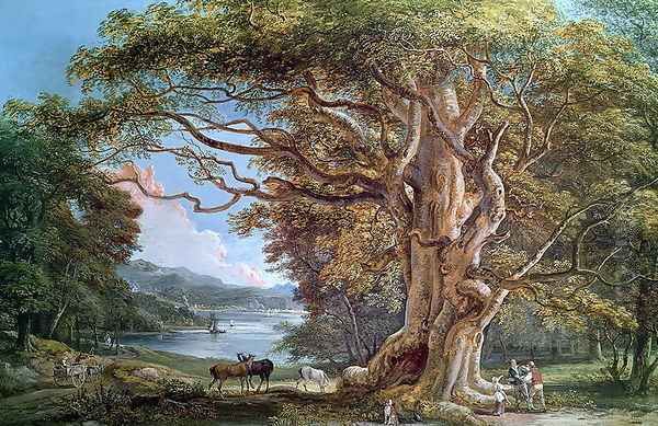 An Ancient Beech Tree, 1794 - view 1
