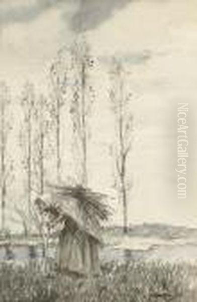 Gathering Sticks - view 1