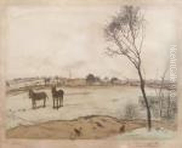 Les Petits Anes - view 1