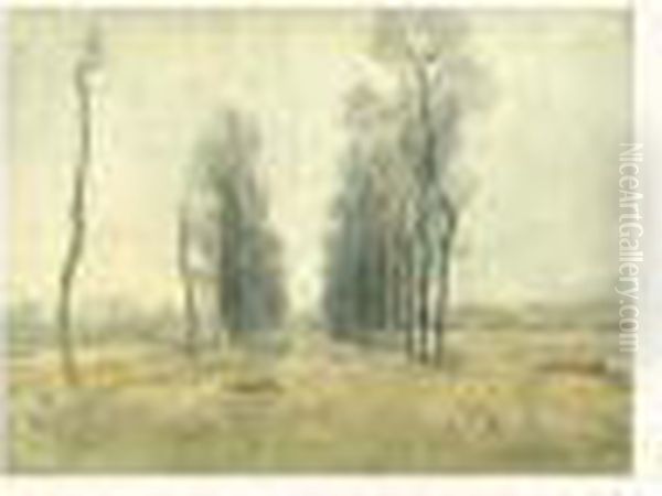 L'allee D'arbres En Hiver - view 1