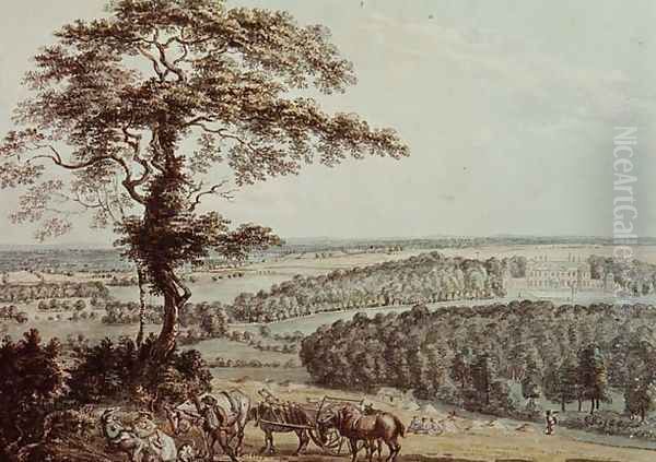 Hackwood Park - view 1