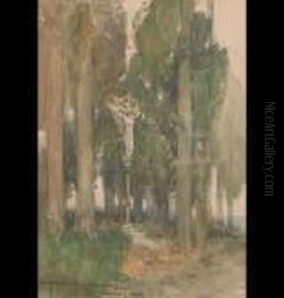 France - view 1