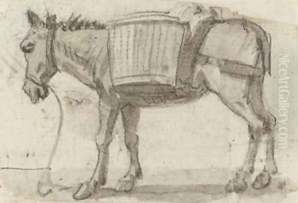 Study of a donkey - view 1