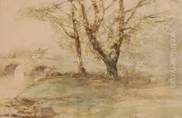 Untitled - view 1
