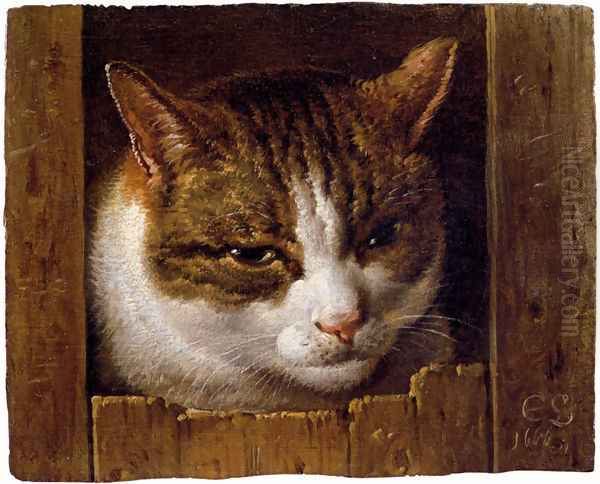 A Cat Peeping Through A Fence - view 1