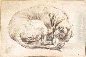 A sleeping dog by Cornelis Saftleven