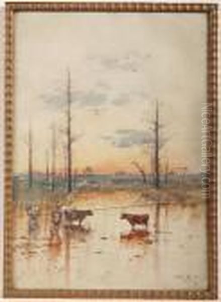 Abendliche Flusslandschaft Mit Kuhen In Mexiko - view 1