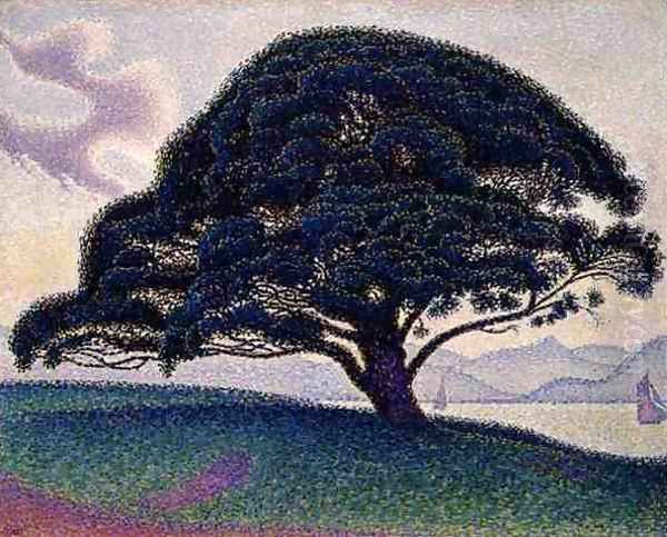 The Bonaventure Pine, 1893 - view 1