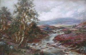 On The Tarf (looking Up); On The Tarf (looking Down)