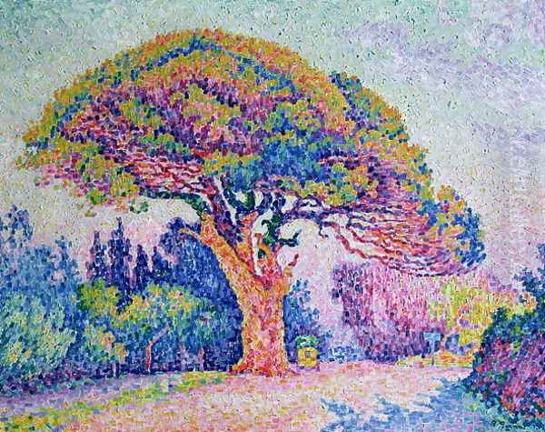 The Pine Tree at St. Tropez, 1909 - view 1