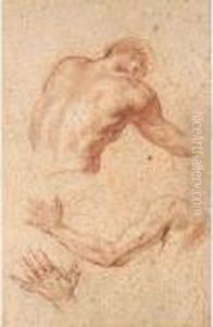 Anatomical Studies Of A Male Torso, Arm And Hand by Allan Ramsay