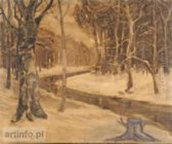 Strumien W Lesie - view 1