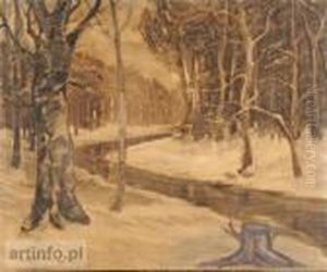 Strumien W Lesie by Jozef Rapacki