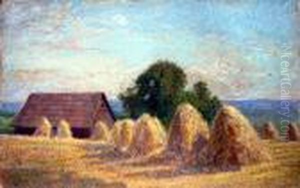 Kopy Siana - view 1
