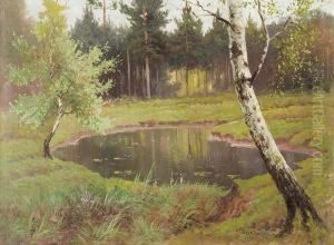 Small Wood Lake by Jozef Rapacki