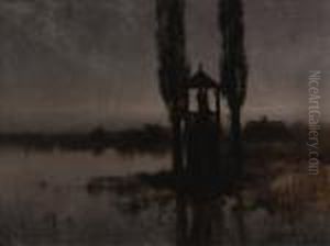 Nocturnal Marshland