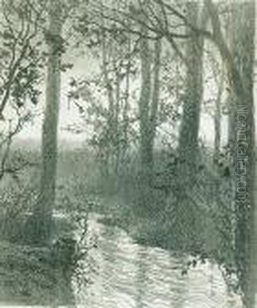 Rzeczka Wsrod Drzew - view 1