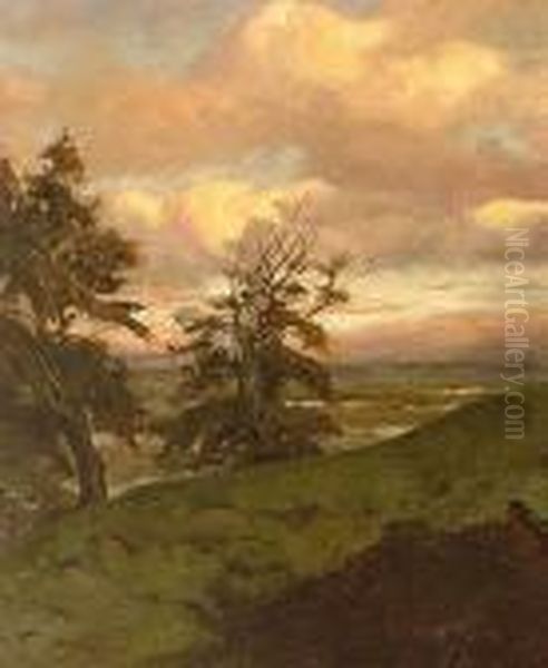 Drzewa - view 1